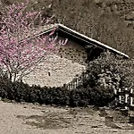 La Casona De Con