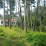 Hotel Alen Do Mar