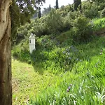 Casa Burgués