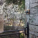 Cabana del Tio Pepe