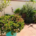 Figueres Center