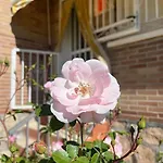 Casa Con Jardin En Escalona