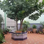 Hostal Drago