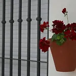 Las Casas De Nani