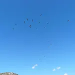 Cortijo La Estrella