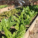 Centro de Agroecologia y Medio Ambiente de Murcia