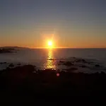 9 Olas