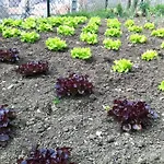 Agroturismo Izarre