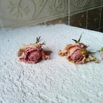 Posada del Dulce Sueño