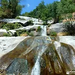 La Lechuza Blanca
