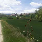 El Rincon 53