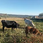 Casa Rural Vinas Perdidas