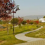 Gure Ametza