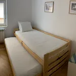 El Museo Home