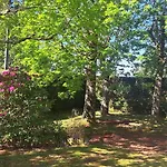 Casa Olga