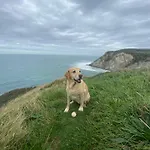 Vistas Al Mar