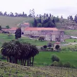Paradisiaco Umia