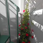 Casa Vitamin Sea