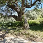 Cortijo El Soto