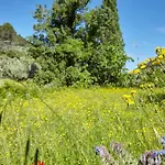 Cortijo El Soto