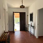 Villa Los Siete Olivos