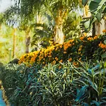 Sierra Blanca Resort