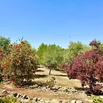 Tradicional Casa De Campo Andaluza Con Piscina Privada