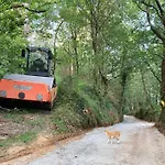 O Muino Da Balsina
