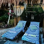 Casita Limón Andratx