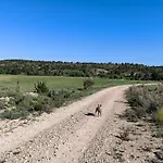 Casas Rurales Huerto Del Abuelito