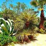 Cortijo Paraiso