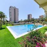 Trendy Homes Paradise