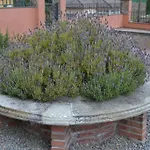 La Casona Dels Avis