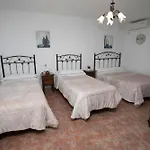 El Olmo