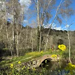 El Patio De Los Naranjos