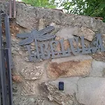 Libelula