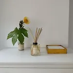 Luz De Lua