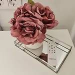 Elegante Apartamento En Playa De Gandia