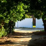 Casara Siete