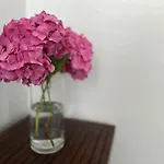 Apartamento Parola