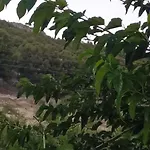 Vivienda Turistica De Alojamiento Rural El Almendro