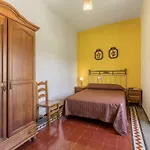 Cortijo El Llano