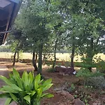 La Casa Del Pi