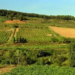 Alt Penedes, Terra De Vinya, Sol, Aigua I Muntanya