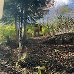 Camping Bedura Park