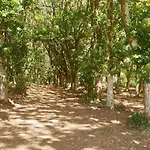 Gran casa rústica en Sigueiro