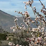 Cortijo Vacas Gordas B&B