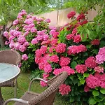 Picos De Europa Suites And Rooms