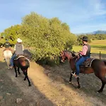 Cabana Rustica En Un Rancho Con Caballos, Prado Del Rey, Andalucia