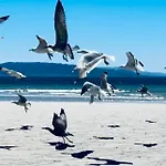 Apartamento nuevo a pie de playa